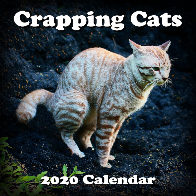 CRAPPING CATS CALENDAR 2020 Gift for Cat Lovers Crazy Cat Etsy