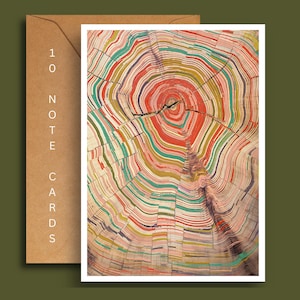 May include: A close-up of a colorful tree trunk cross-section, showing the rings of growth in a variety of shades of red, green, yellow, and brown.