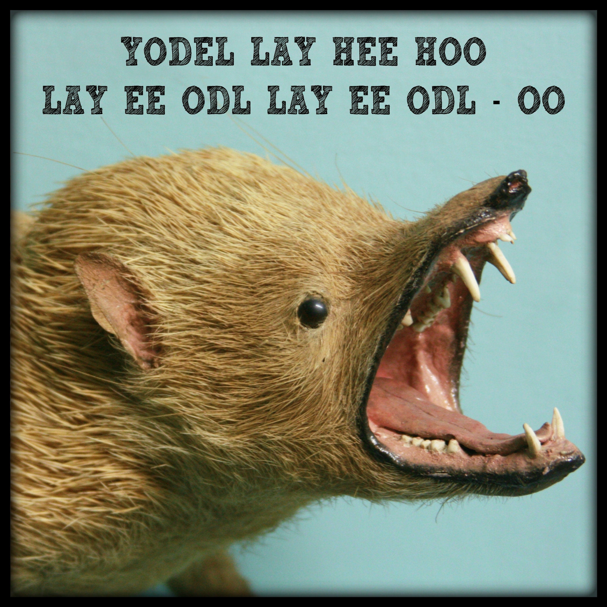 CALENDAR TAXIDERMY DISASTERS 2021. Tragically Hilarious. Etsy