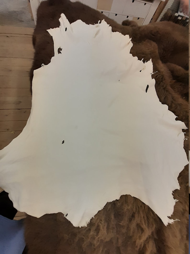 Alum Tanned White Cow Leather Side 6/7ft Long 4oz Thick Big Etsy