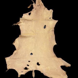 Deerskin/deer leather / Buckskin hide/saddle color / C11-Pic 326