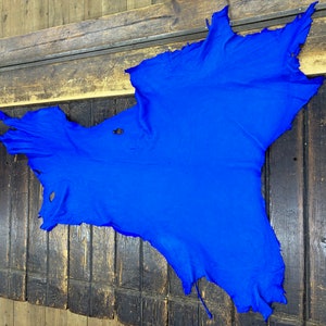 Deerskin / deer leather / Buckskin hide / blue color / C-11 pic 307