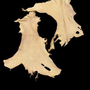 Deerskin/deer leather / Buckskin hide/saddle color / C12-pic6