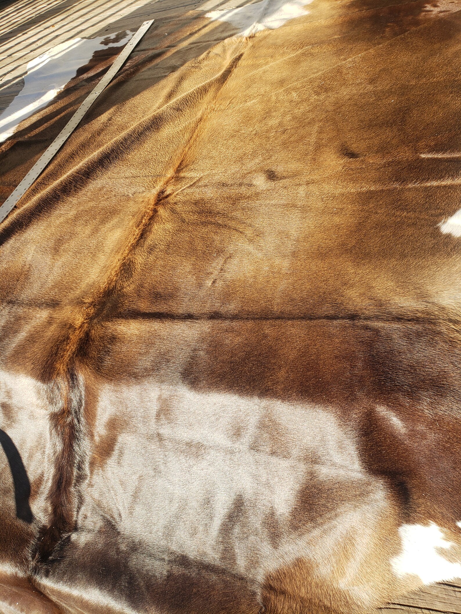 Cowhides Geniune Hair on Hide BIG HIDE C110 Etsy