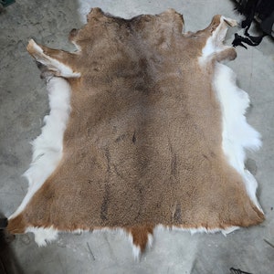 Hair on Deer Hide rug, whitetail hair on hide, BGSHOP