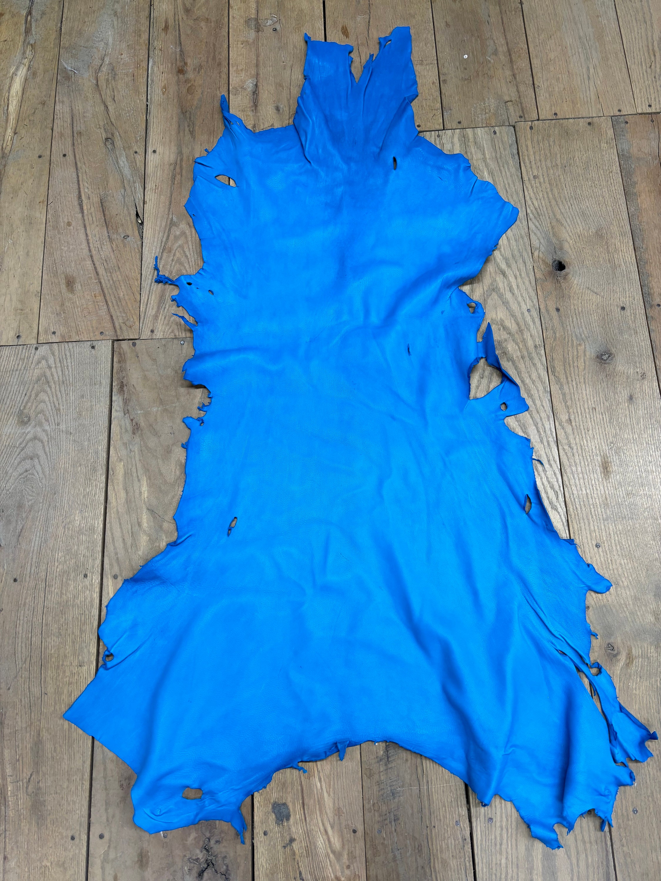 Deerskin Buckskin Hide Turquoise Color Nice Grain! C11- Pic 303 - Etsy