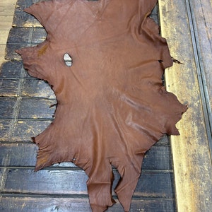 Deerskin Buckskin Hide Whiskey Color 11sf Nice Grain! C12-Pic36