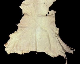 May include: A piece of off-white leather against a black background. The leather has an irregular shape with torn edges and several small holes. The surface appears slightly textured with subtle variations in color.