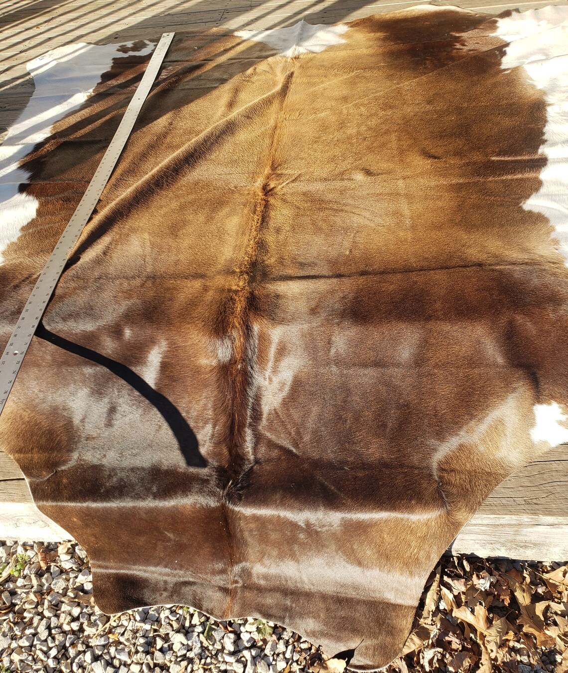 Cowhides Geniune Hair on Hide BIG HIDE C110 Etsy