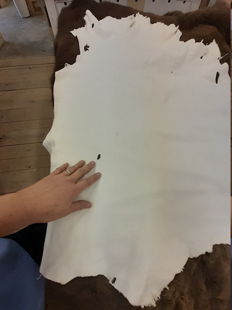 Alum Tanned White Cow Leather Side 6/7ft Long 4oz Thick Big Etsy