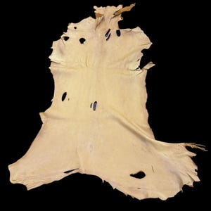 Deerskin/deer leather / Buckskin hide/saddle color / C12-Pic1