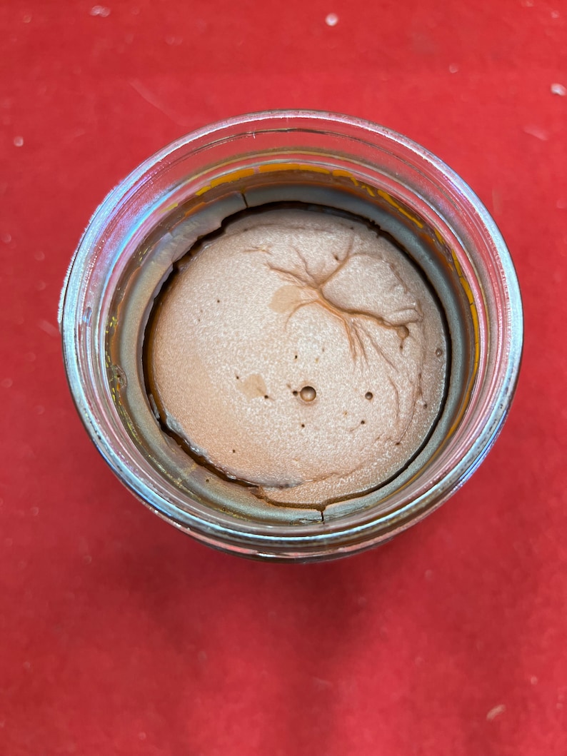 May include: A glass jar with a brown, textured substance inside. The substance has a swirling pattern and a few small air bubbles.