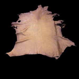 Deerskin/deer leather / Buckskin hide/tobacco color / C 12- Pic-16