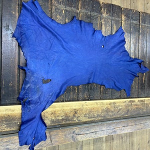 Deerskin / deer leather / Buckskin hide / blue color / C-12/pic 11