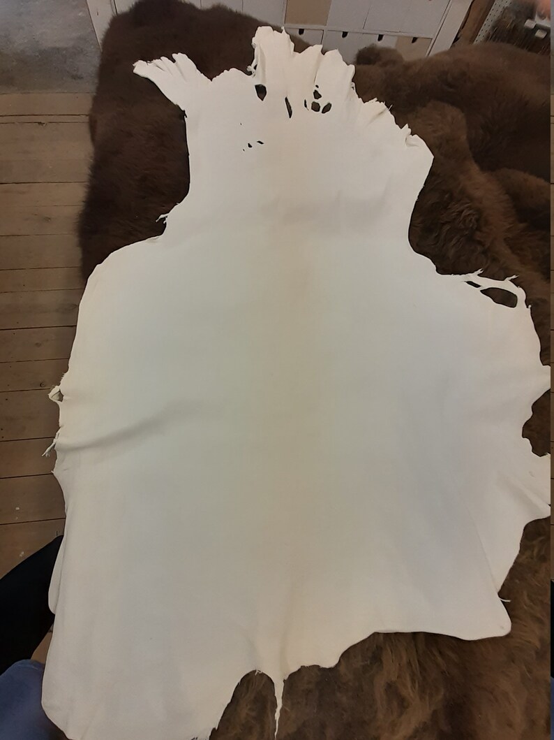 Alum Tanned White Cow Leather Side 6/7ft Long 4oz Thick Big Etsy