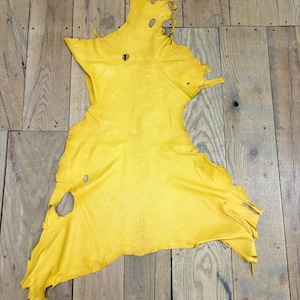 Deerskin/deer leather / Buckskin hide / Gold color / c12-pic31