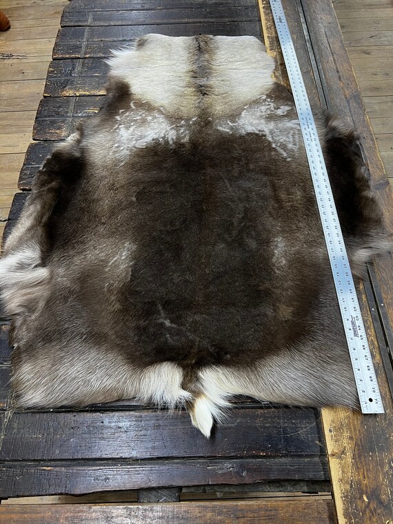 Genuine Caribou Hide Shelf 6 Caribou 2 Etsy