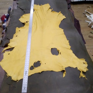 Deerskin / deer leather / Buckskin hide / Gold color / c12-pic115