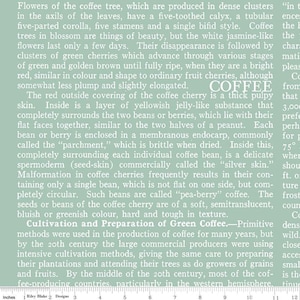 Coffee Chalk  Text Aqua  by J. Wecker Frisch for Riley Blake Designs
