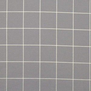 Flannel Grid Design Wall by Kaffe Fassett for FreeSpirit Fabrics