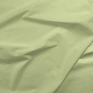 Lime Mist  Painter&#39;s Palette Solid