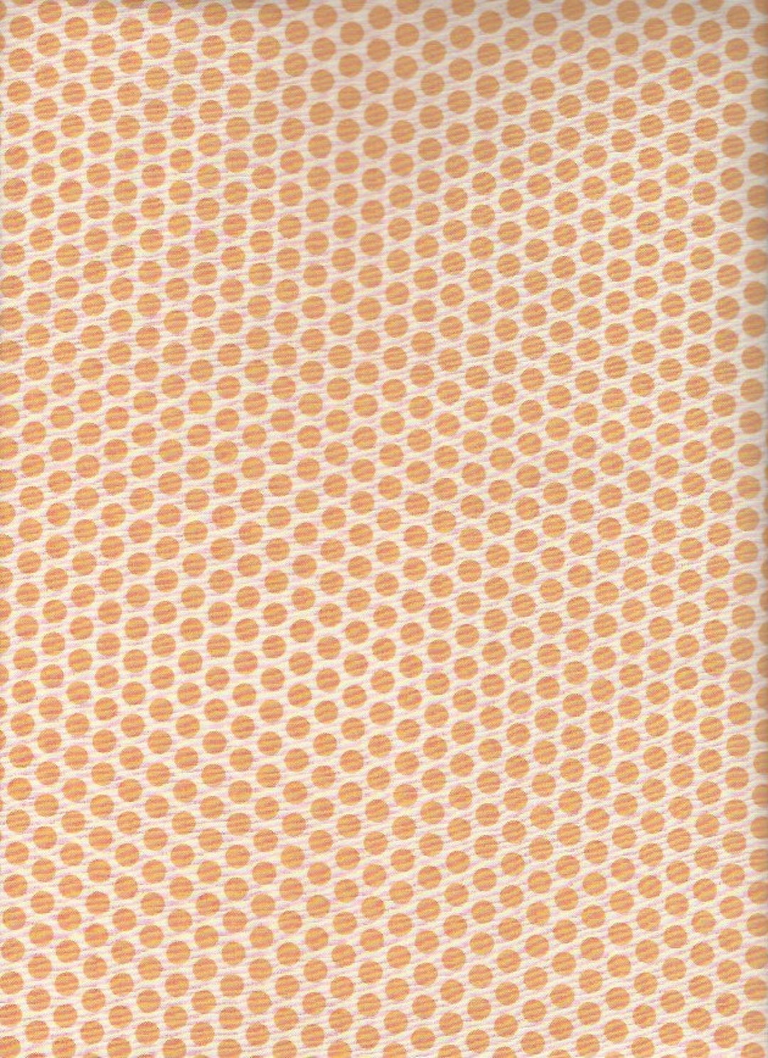 Kei on White Background Color 2 by Yuwa of Japan Etsy