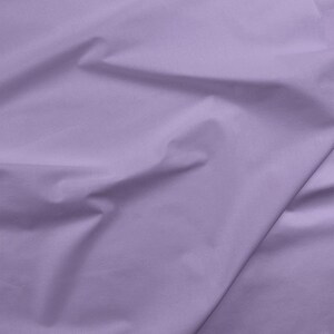 Pale Iris Painter's Palette Solid