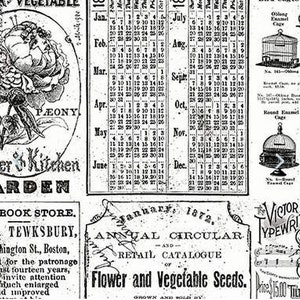 Op de afbeelding: Zwart-witte vintage print met een kalender voor het jaar 1872, een bloemillustratie en tekst die "Flower and Vegetable Seeds." luidt.