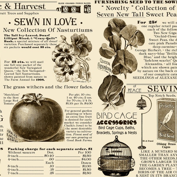 Seed Catalog in Cream and Brown from Sewing Seeds by J. Wecker Frisch