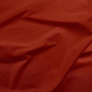 Vintage Red Painter's Palette Solid