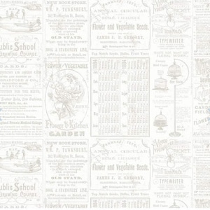 May include: A vintage newspaper clipping with a white background and black text. The text includes advertisements for a new book store, a public school drawing course, flower and vegetable seeds, and a typewriter. The text also includes a calendar for the year 1884.