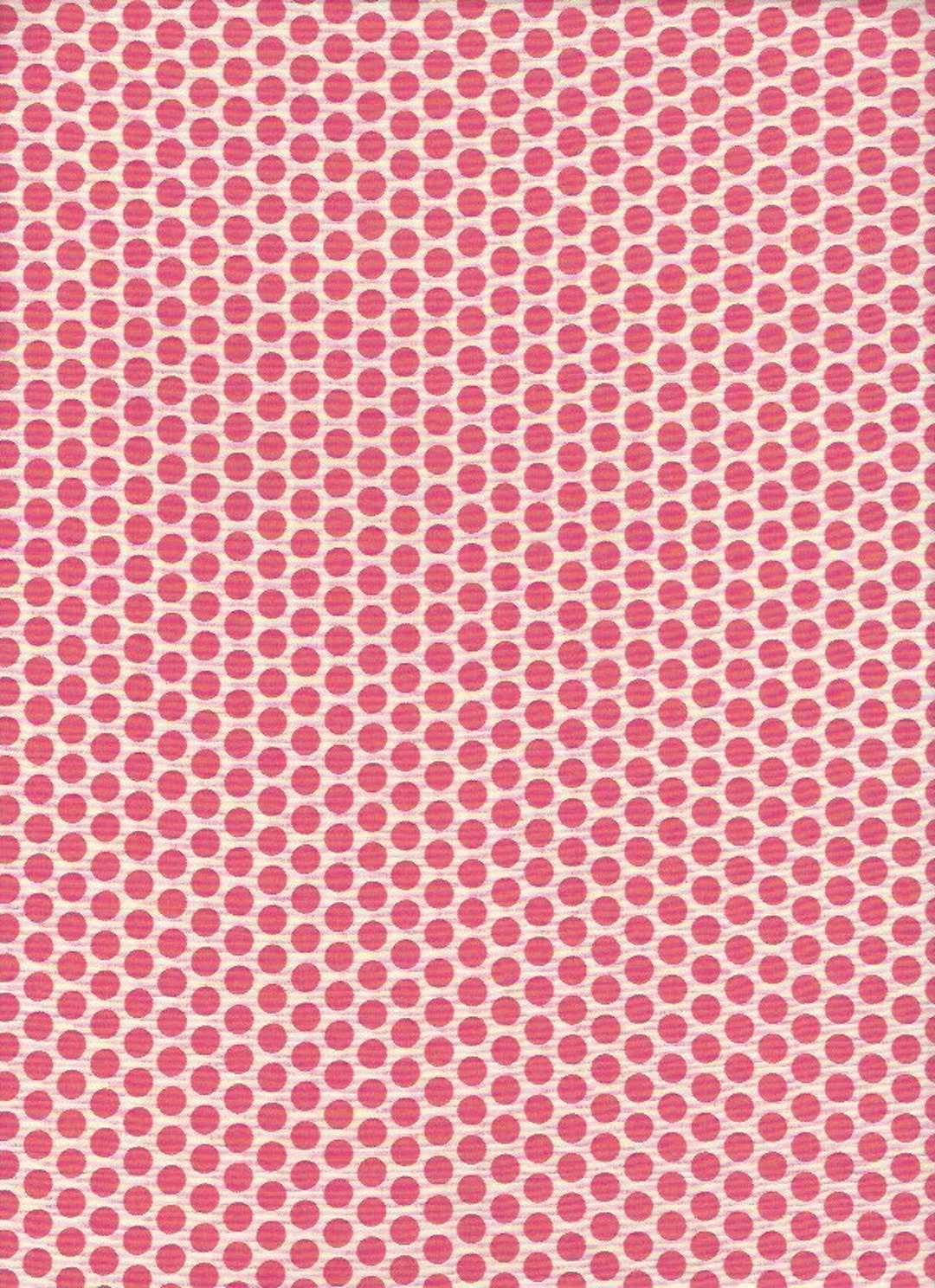 Kei on White Background Color 1 by Yuwa of Japan Etsy