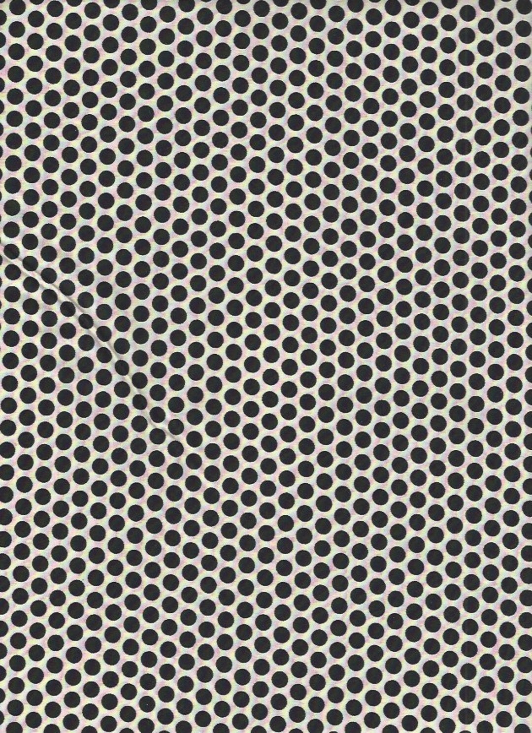 Kei on White Background color 14 by Yuwa of Japan Etsy