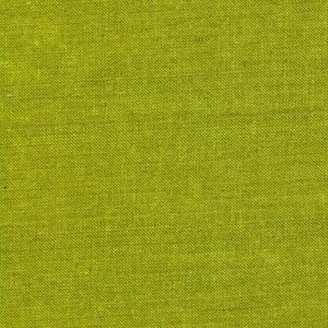 Green Tea Color 22 Peppered Cotton by Pepper Cory for Studio E Fabrics