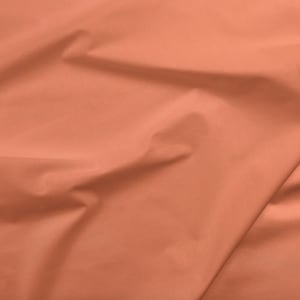 Cantaloupe Painter's Palette Solid