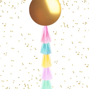 Easter Pastel Gender Reveal Balloon with Spring Rainbow Tassel Reveal Kit, Shower, Baby, Gender Reveal Balloon Kit, Gender Reveal Confetti 1 Balloon Pastel