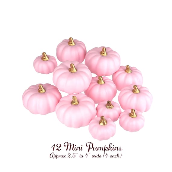 Treat Cups 50 Disposable Fall Pumpkin or Halloween Thanksgiving, Coffee Cups, Treat Bags, Napkins, Plates, Pastel Party, Hello Pumpkin