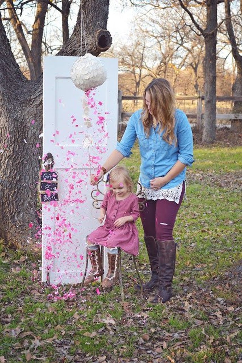 Gender Reveal Pinata