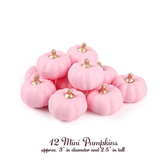 Treat Cups 50 Disposable Fall Pumpkin or Halloween Thanksgiving, Coffee Cups, Treat Bags, Napkins, Plates, Pastel Party, Hello Pumpkin