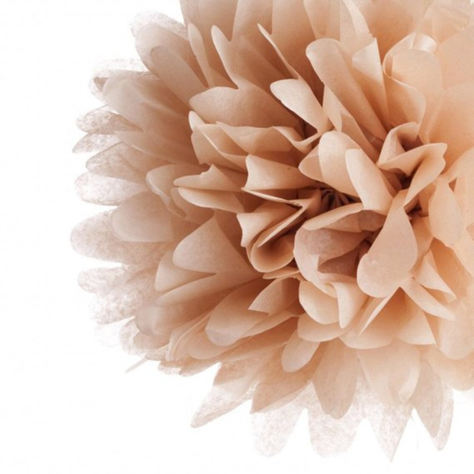 20 Tissue Paper Pom Poms 20 Piece Set Pick Your Colors Bulk Etsy