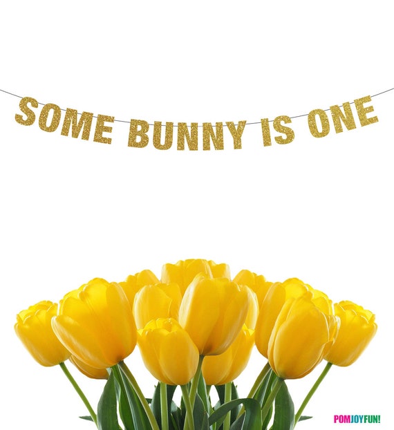 Some Bunny Is One Banner, Birthday Easter Banner, Custom Colors Easter Decor, Easter Photo Prop, first birthday banner