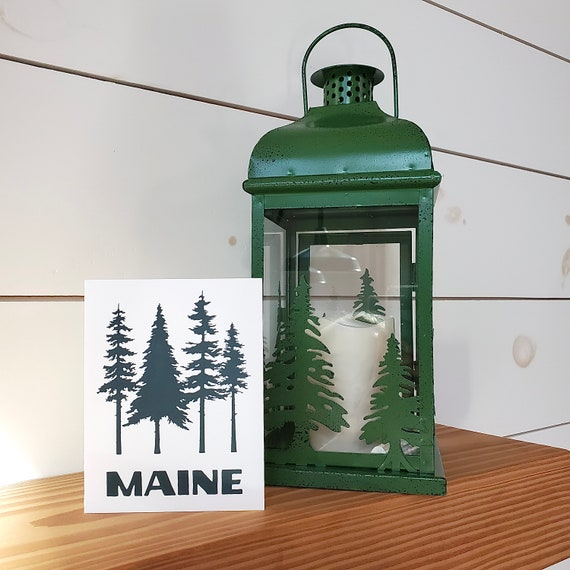 Maine Pines Greeting Card Boxed Set | Maine Made Gifts | Pine Tree Cards | A2 Greeting Card | Pine Tree Illustration | Made in Maine