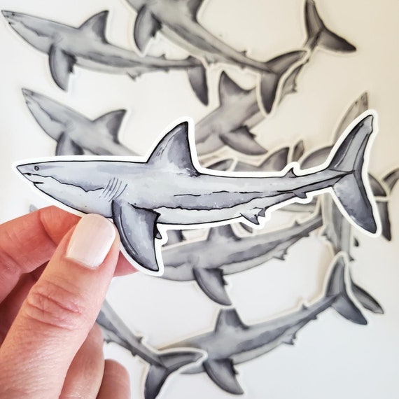 Shark Sticker | Vinyl Sticker | Waterproof Sticker | Water Bottle Sticker | 4” Sticker | Great White Shark