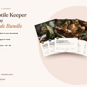 Reptile Care Guide Bundle: Leopard Gecko, Crested Gecko, Bearded Dragon, Ball Python, Corn Snake (Digital)