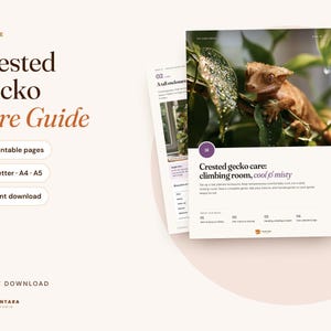 Puede incluir: Una guía digital de cuidados para gecos crestados con 13 páginas imprimibles en tamaños US Letter, A4 y A5. La portada muestra una fotografía de un geco crestado sobre una hoja verde, con texto que detalla los cuidados y el hábitat.