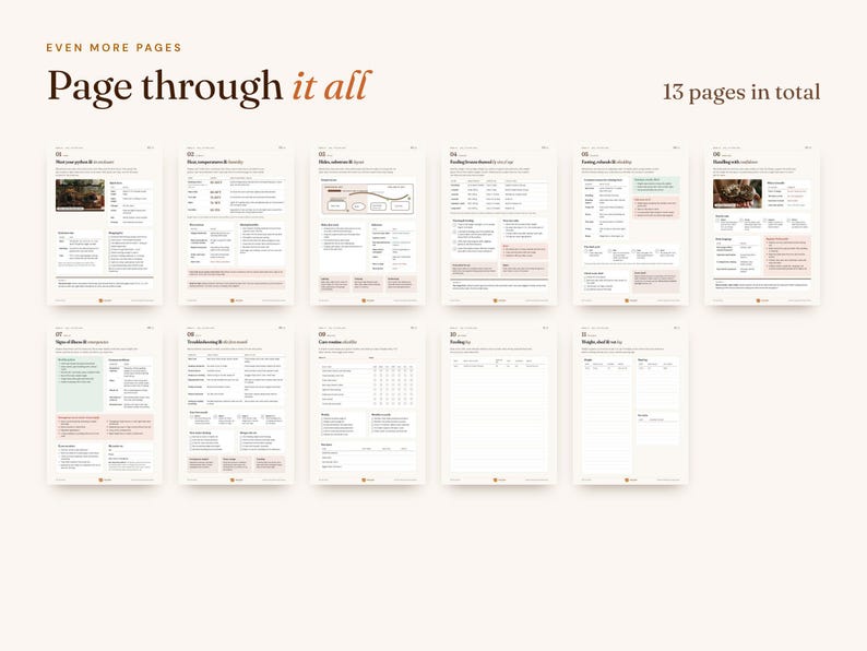 Peut inclure: Un ensemble de 13 pages de planificateur num&eacute;rique comprenant du texte, des tableaux et des listes de contr&ocirc;le. La mise en page inclut des en-t&ecirc;tes tels que 'Page through it all', '13 pages in total' et 'EVEN MORE PAGES'. Chaque page contient des sections structur&eacute;es.