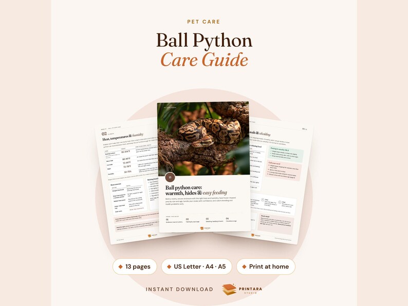 Guide d'élevage du python royal (à imprimer), températures du terrarium, tableau d'alimentation, journal de mue image 1