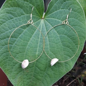May include: A pair of gold-colored hoop earrings, each with a small, white and tan seashell accent. The earrings are displayed on a large, green leaf, creating a natural and elegant presentation.