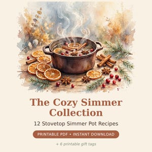 Simmer Pot Recipes Printable, 12 Stovetop Simmer Recipes, Fall Christmas Holiday Home Scent, Gift Tags Included