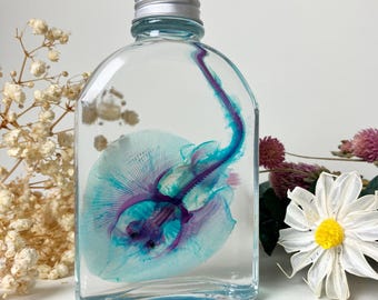 May include: A clear glass bottle with a silver screw-top lid containing a preserved, translucent stingray specimen. The stingray is dyed in vibrant shades of turquoise and purple, showcasing its skeletal structure suspended in liquid.